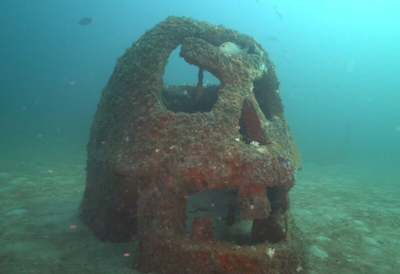 What Sculptures I Can FInd in Underwater Museum of Art